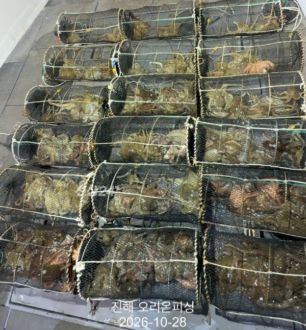 KakaoTalk_20261028_073629618_16.jpg