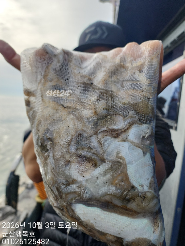 군산행복호_사진_20261003_6.jpg
