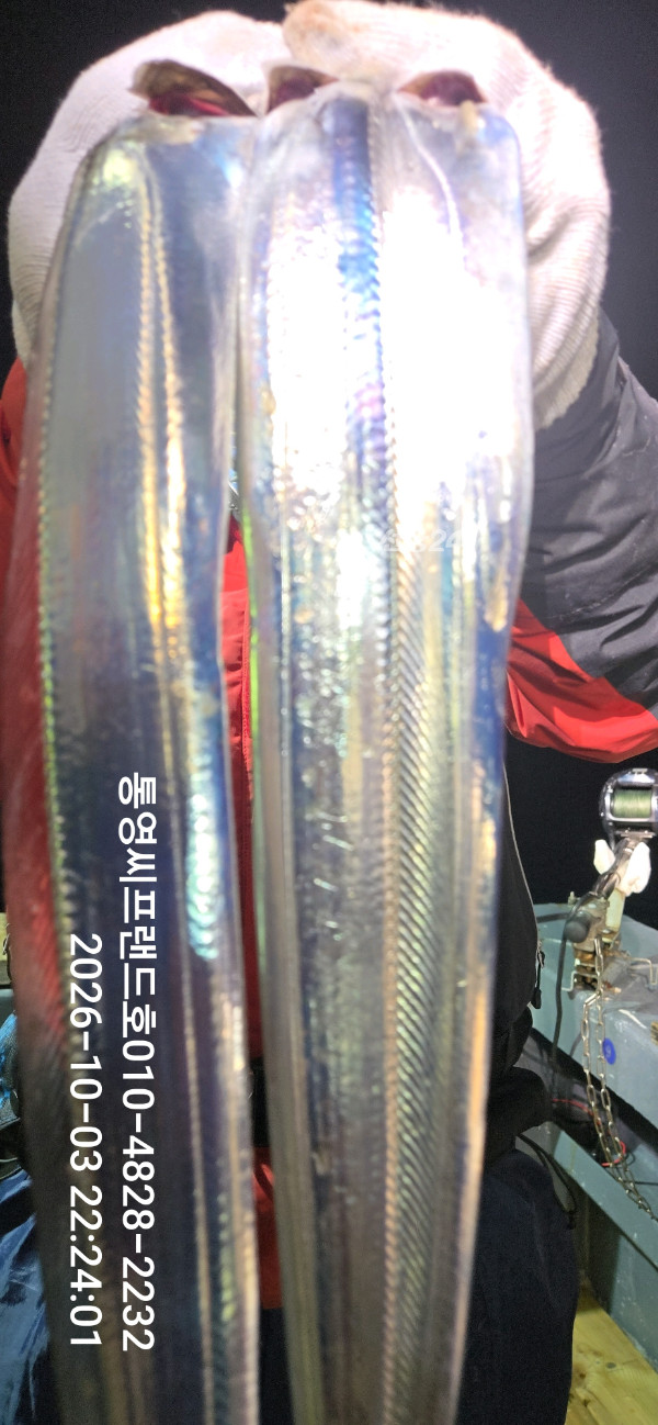 1791034037409.jpg