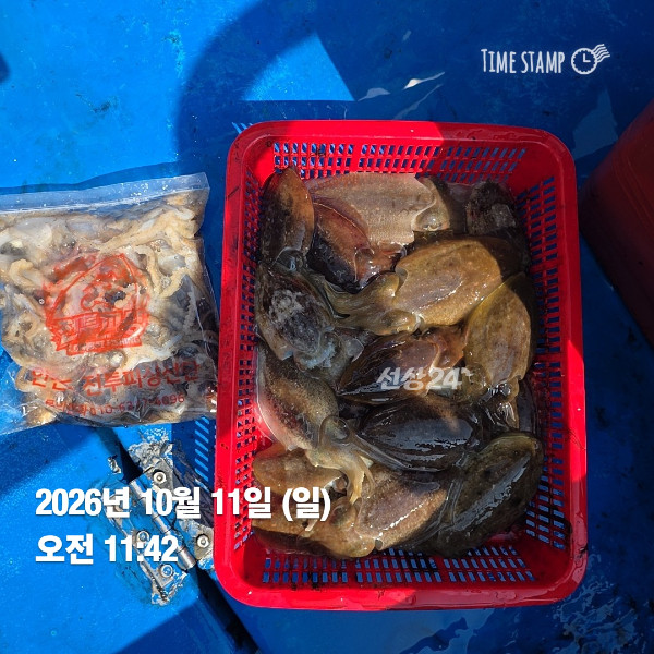 KakaoTalk_20261011_172621376_02.jpg