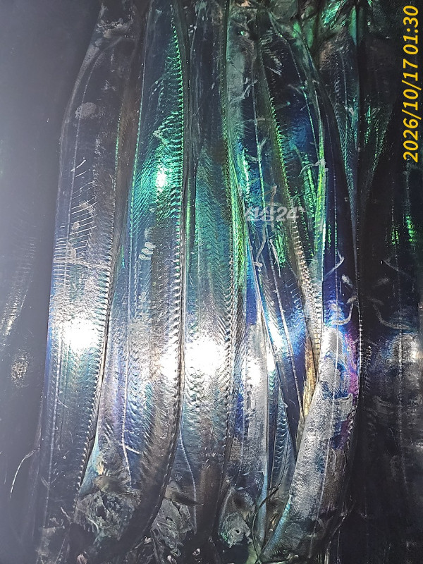 1000040130.jpg
