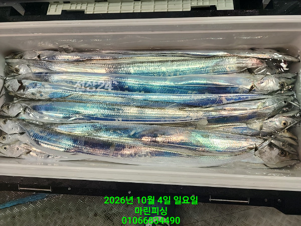 KakaoTalk_20261004_081213734_22.jpg