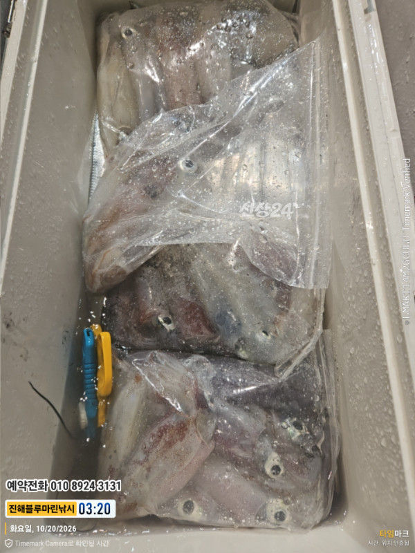 20261020_032034_제목-진해블루마린낚시_글꼴-예약전화 010 8924 3131.jpg