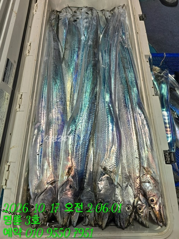 KakaoTalk_20261017_060227794_24.jpg