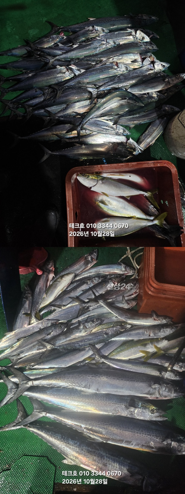 KakaoTalk_20261028_175948331_01-vert.jpg