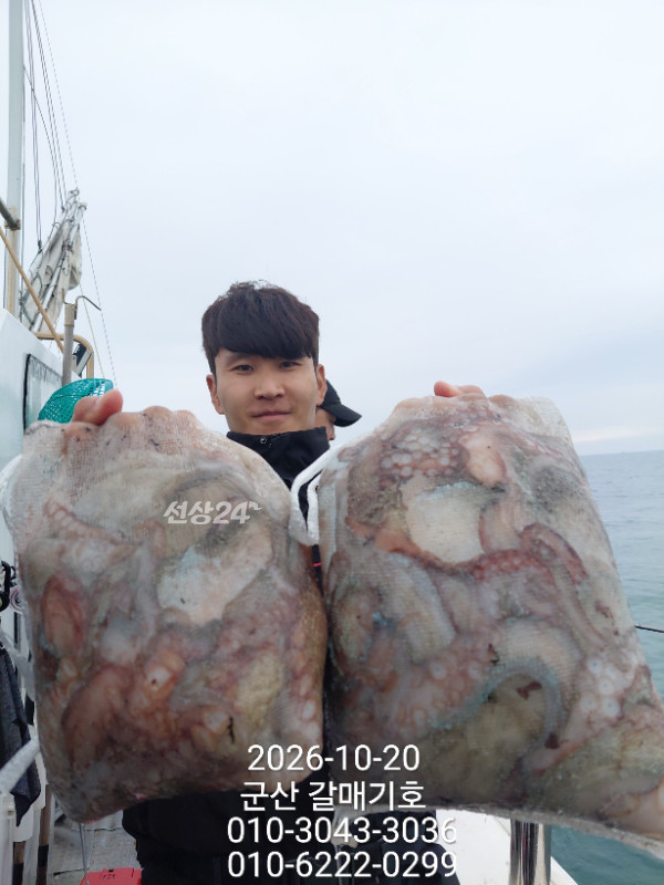 12514.jpg