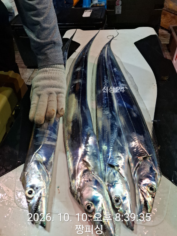 1000084315.jpg