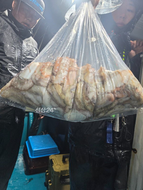 쎄븐피싱클럽(선상 버스출조전문)_사진_20261020_14.jpg