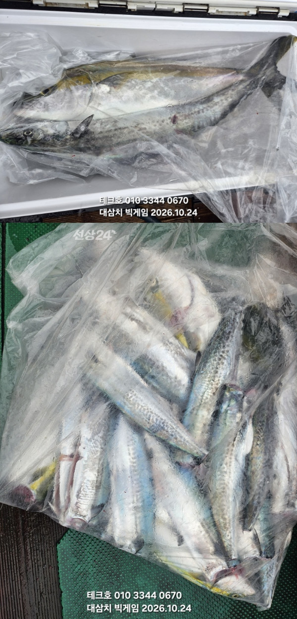 KakaoTalk_20261024_125051924_05-vert.jpg
