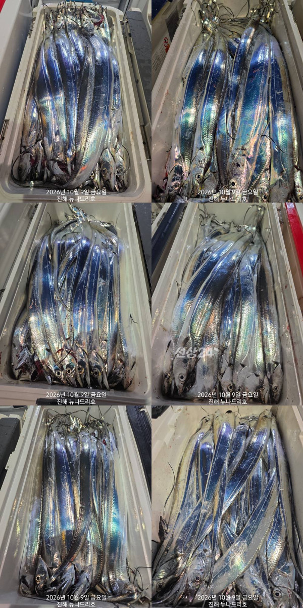 낱2.jpg