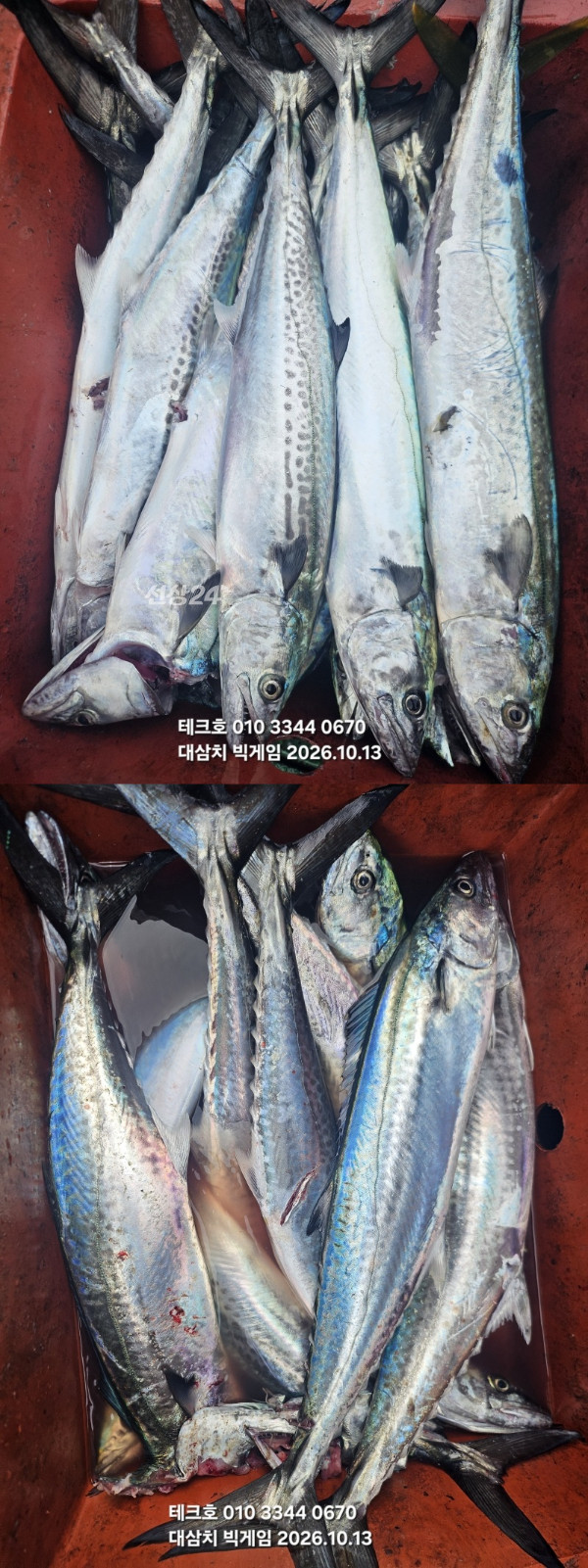KakaoTalk_20261013_132757479_05-vert.jpg