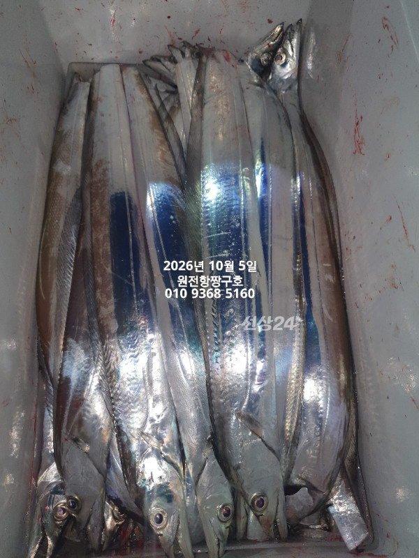 KakaoTalk_20261005_051425255_11.jpg
