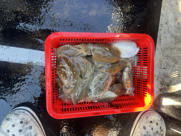 KakaoTalk_20261008_181301740_05.jpg