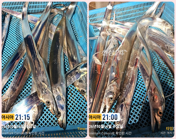 KakaoTalk_20261015_061744949_14-tile.jpg