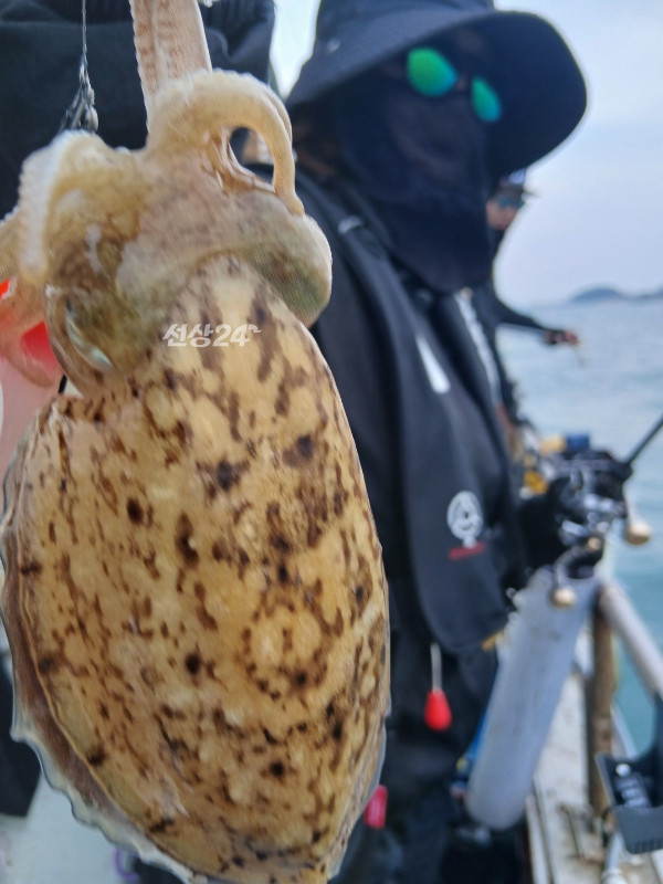 KakaoTalk_20261020_174257529_06.jpg