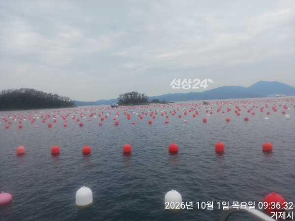 TimePhoto_20261001_093632.jpg
