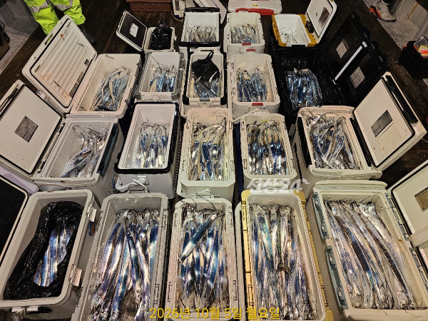 1981FE8E-B6FD-4C0D-A345-BF96231A8D85.jpeg
