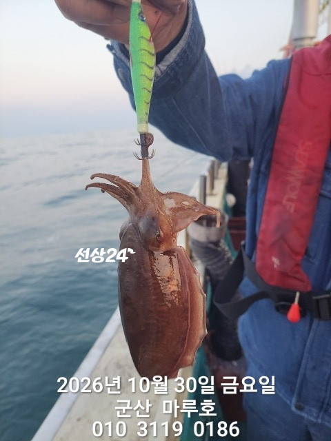 KakaoTalk_20261030_163940516_18.jpg