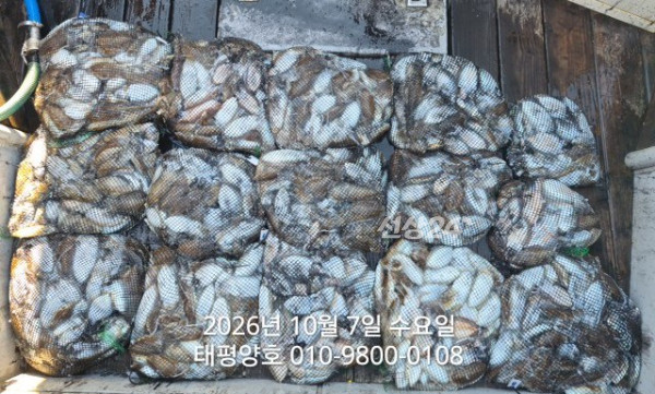 KakaoTalk_20261007_164522106_02.jpg