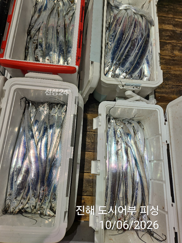 KakaoTalk_20261006_045311778_13.jpg