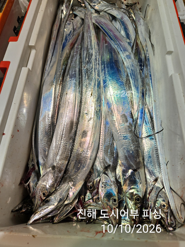 KakaoTalk_20261010_043600356_14.jpg