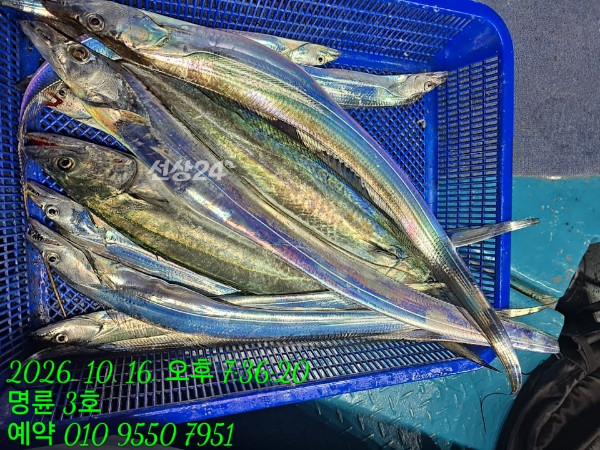 KakaoTalk_20261017_060227794_07.jpg