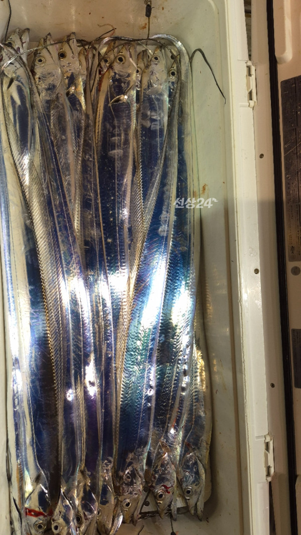 1004피싱_사진_20261016_16.jpg