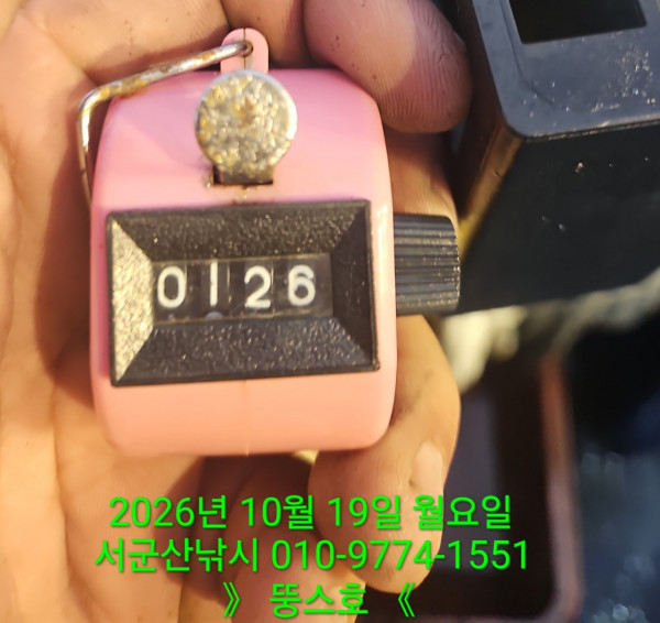 군산 선상낚시, 바다낚시 출조 전문 ☆서군산낚시☆_사진_20261019_1.jpg