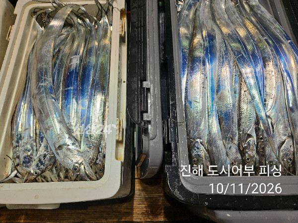 KakaoTalk_20261011_050252101_14.jpg