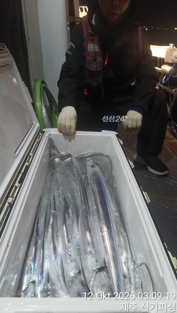 KakaoTalk_20261012_222612475_12.jpg