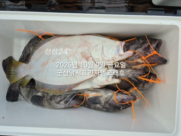 KakaoTalk_20261009_163031675_04.jpg