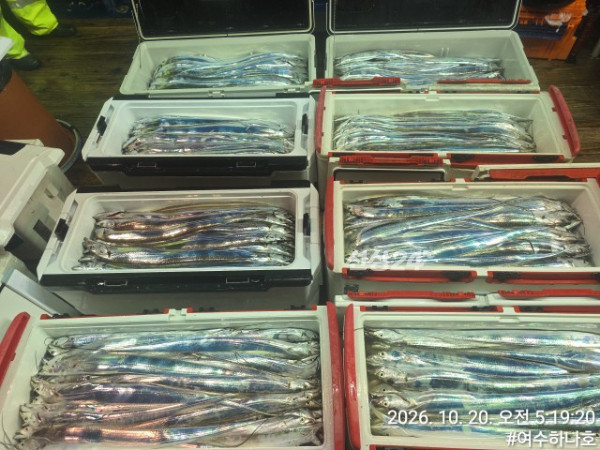 KakaoTalk_20261020_075626256_06.jpg