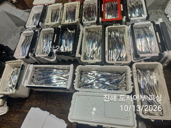 KakaoTalk_20261013_051029627_09.jpg