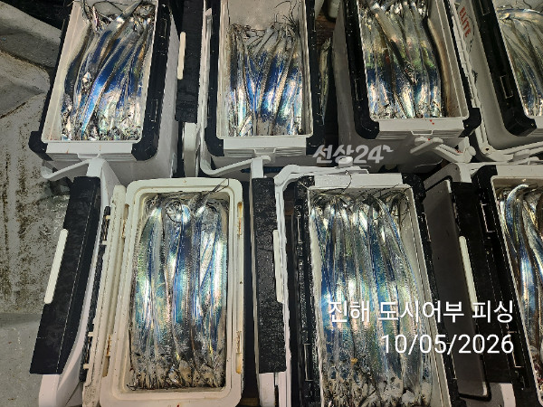 KakaoTalk_20261005_051530639_10.jpg