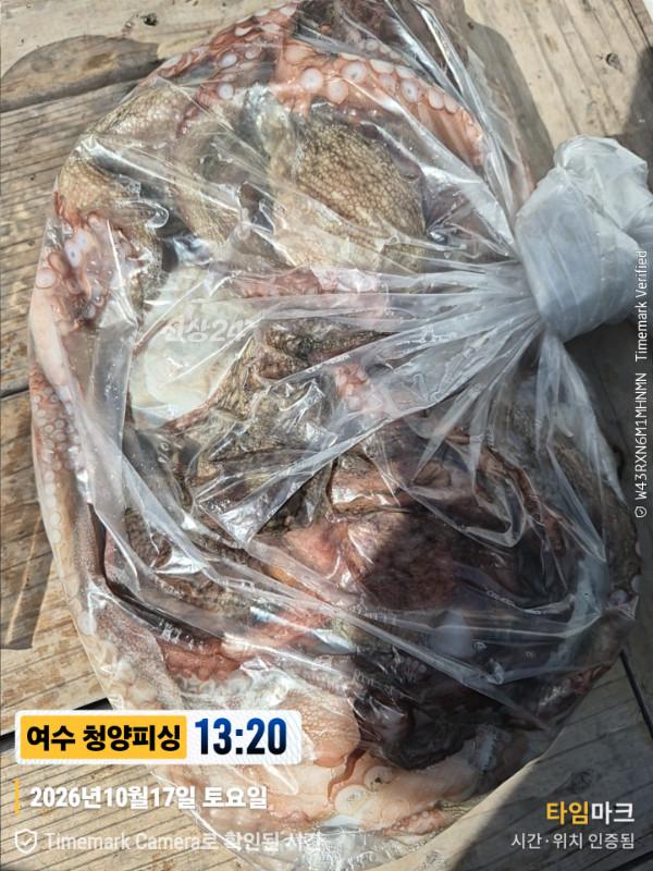 20261017_132054_제목-여수 청양피싱.jpg