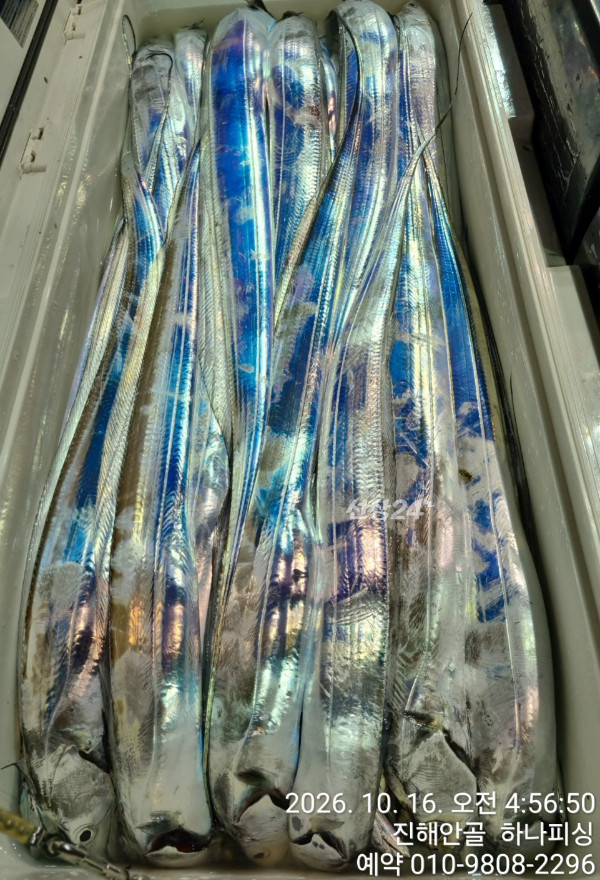 110140.jpg