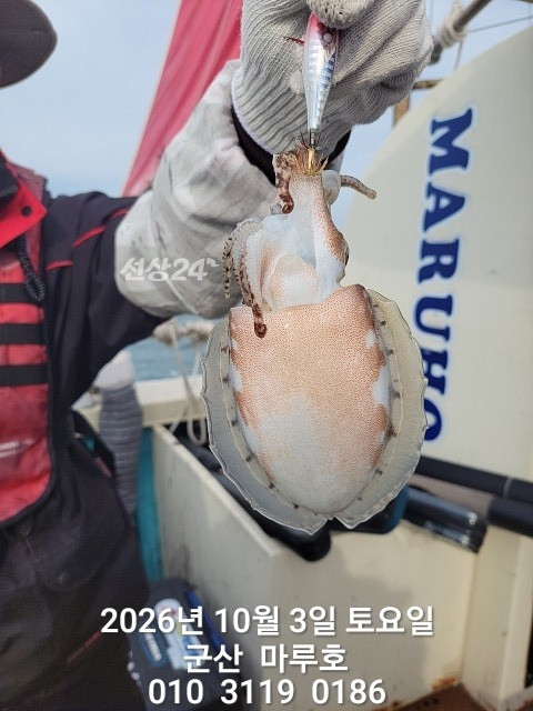 KakaoTalk_20261003_092228981.jpg