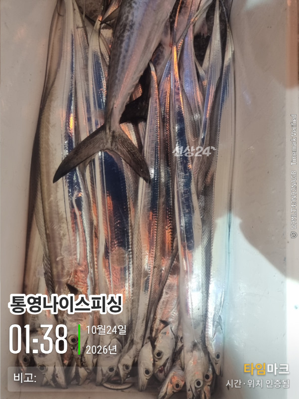20261024_013857_글꼴-통영나이스피싱.jpg