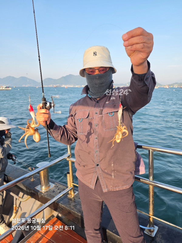 24191.jpg