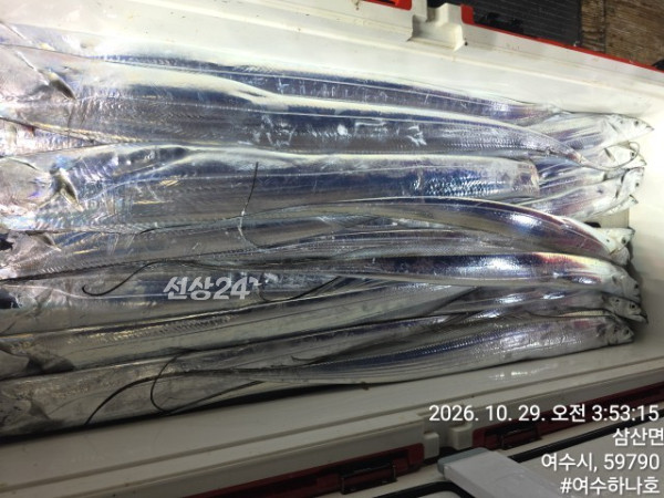 KakaoTalk_20261029_082011929_01.jpg