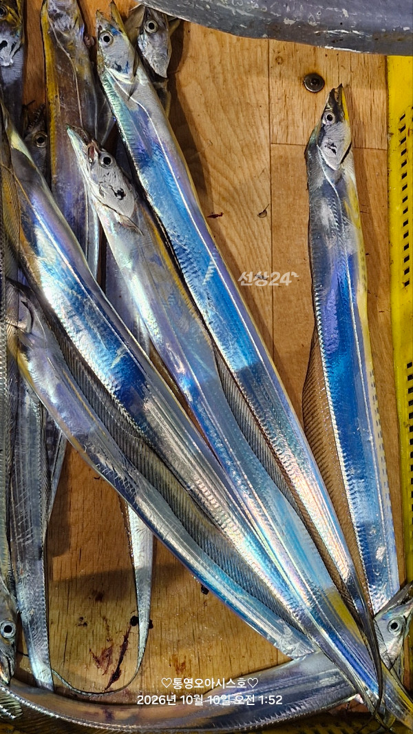 84151.jpg