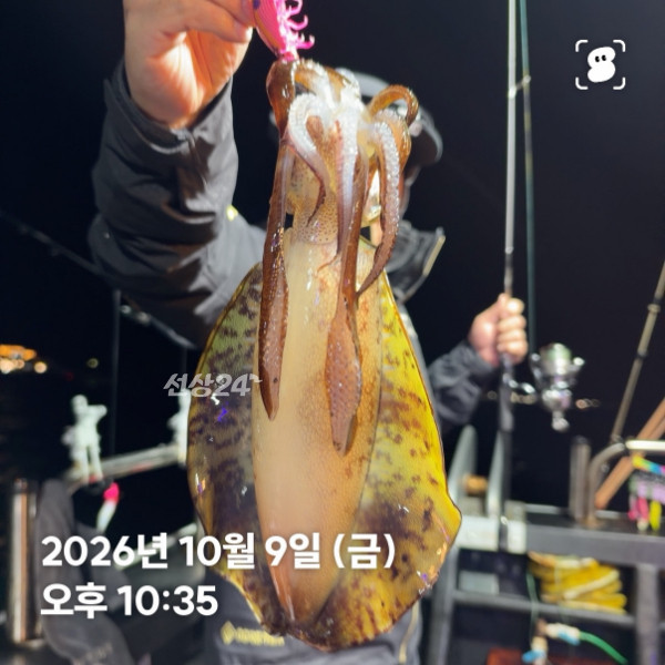 신신낚시 강구점 신신호_사진_20261010_8.jpg