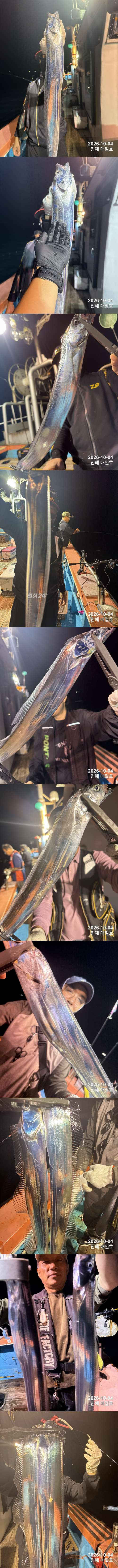 갈치1.jpg