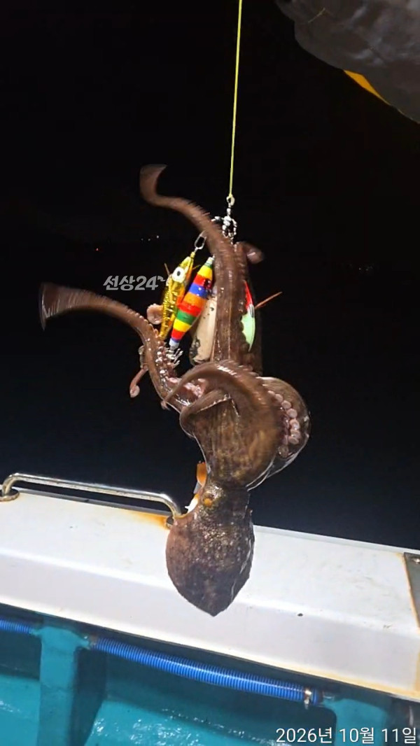 TimeVideo_20261011_205500.jpg