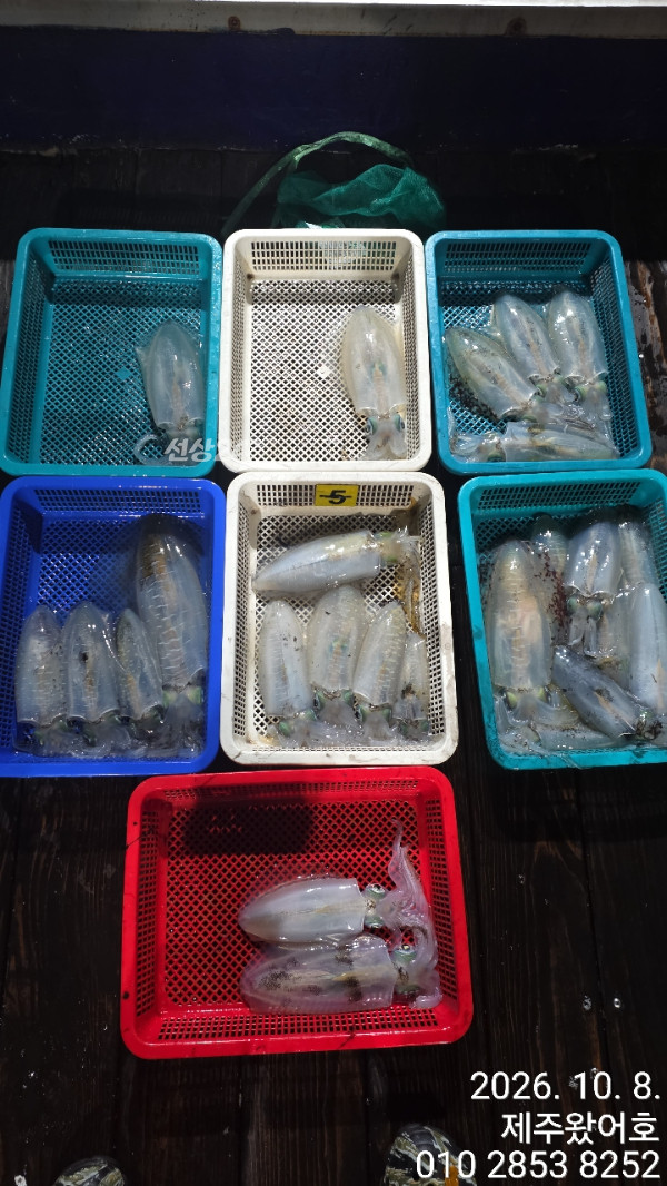제주왔어호_사진_20261008_15.jpg