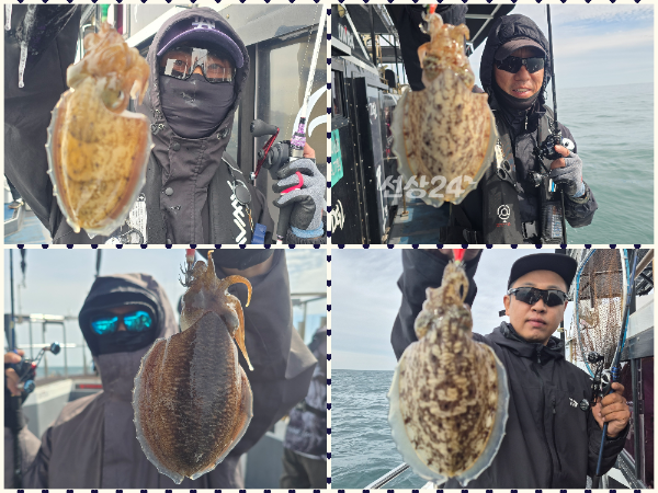 collage1.png
