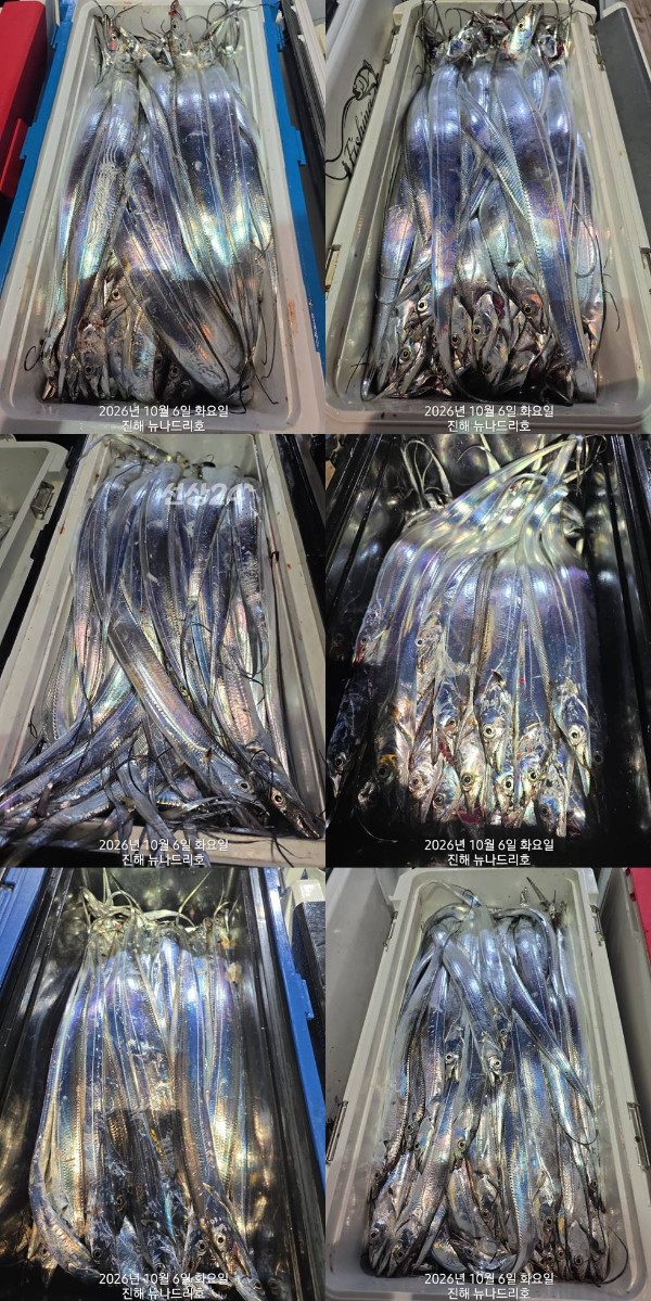 낱2.jpg