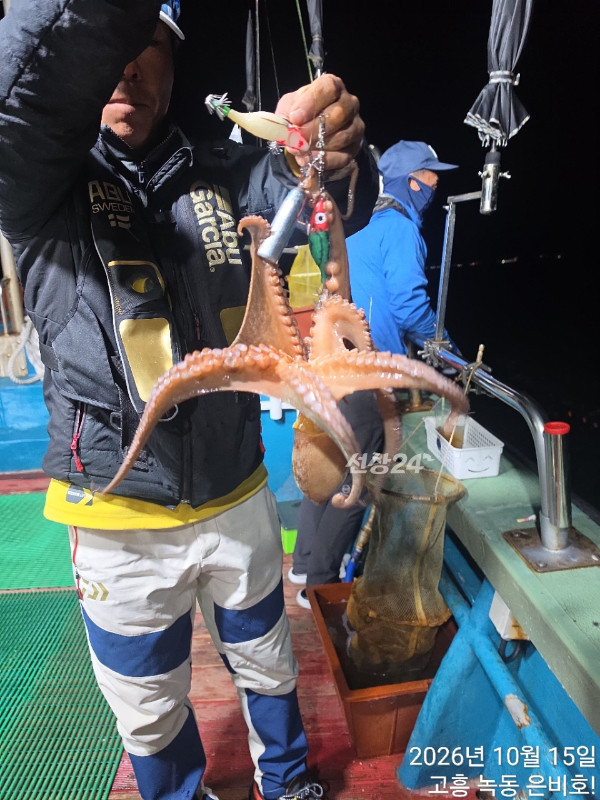 고흥 녹동 은비호!(두족류,돌돔,외수질)_사진_20261017_7.jpg