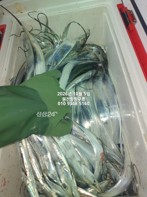 KakaoTalk_20261005_051425255_20.jpg