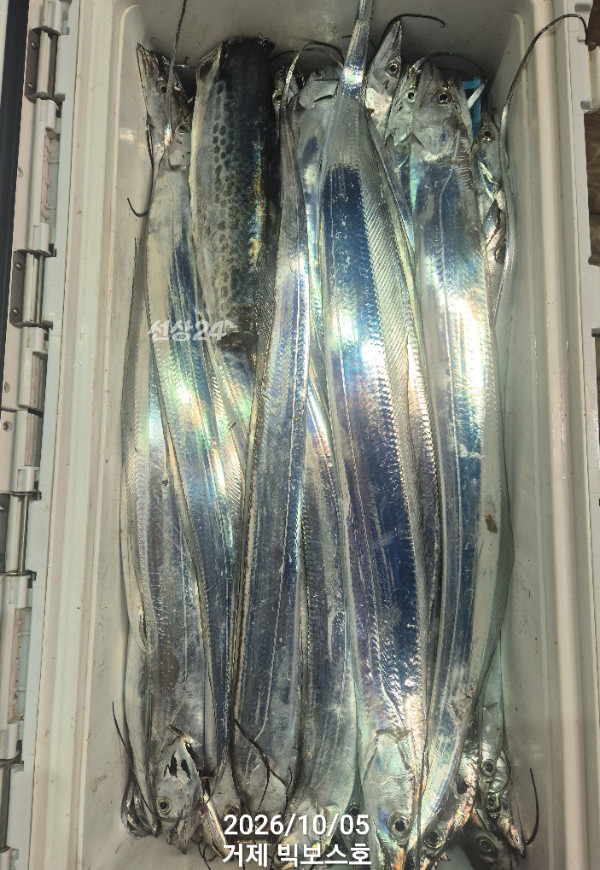 1000046029.jpg